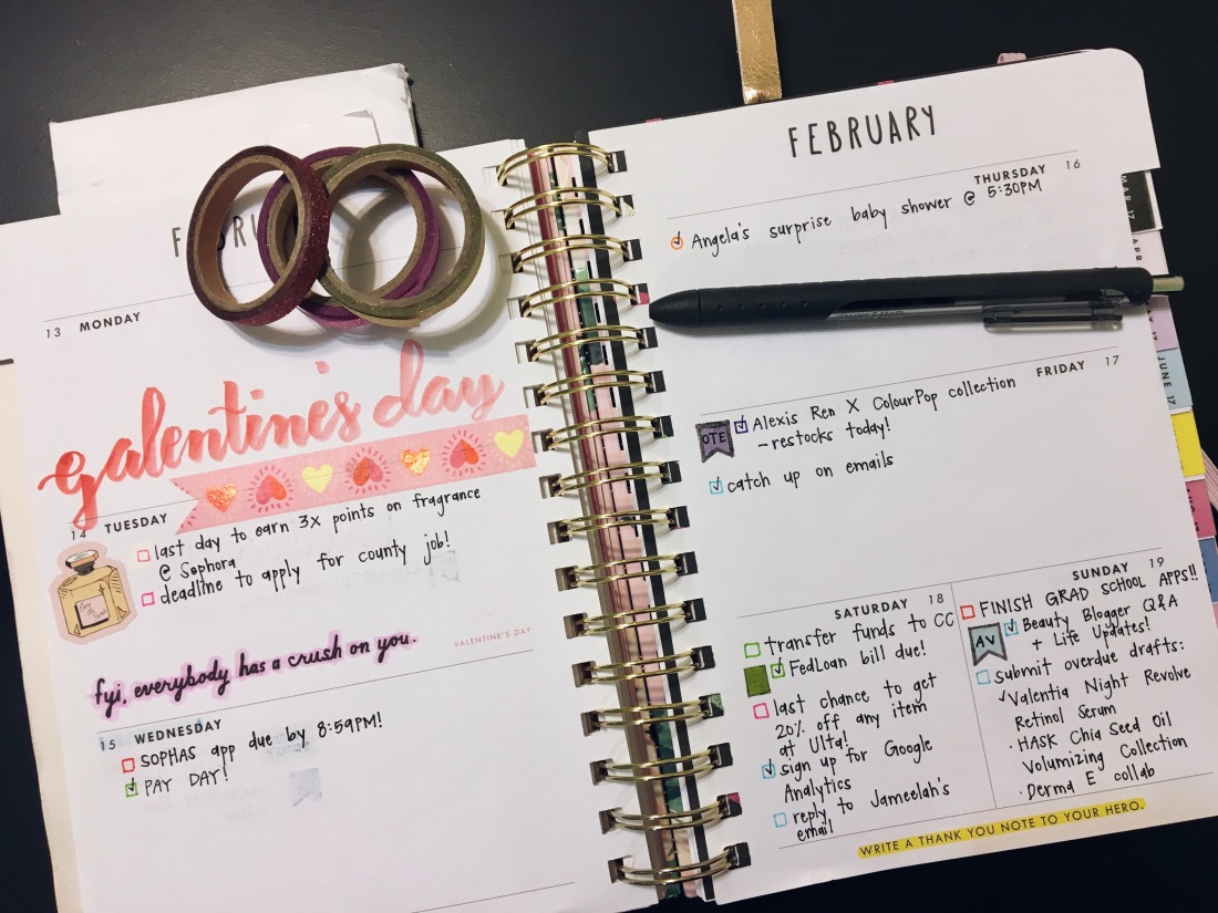 February 2017 Plan with Me // Week 3